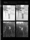 Woods on Fire; Five foot snake (4 Negatives) (August 19, 1954) [Sleeve 23, Folder f, Box 4]